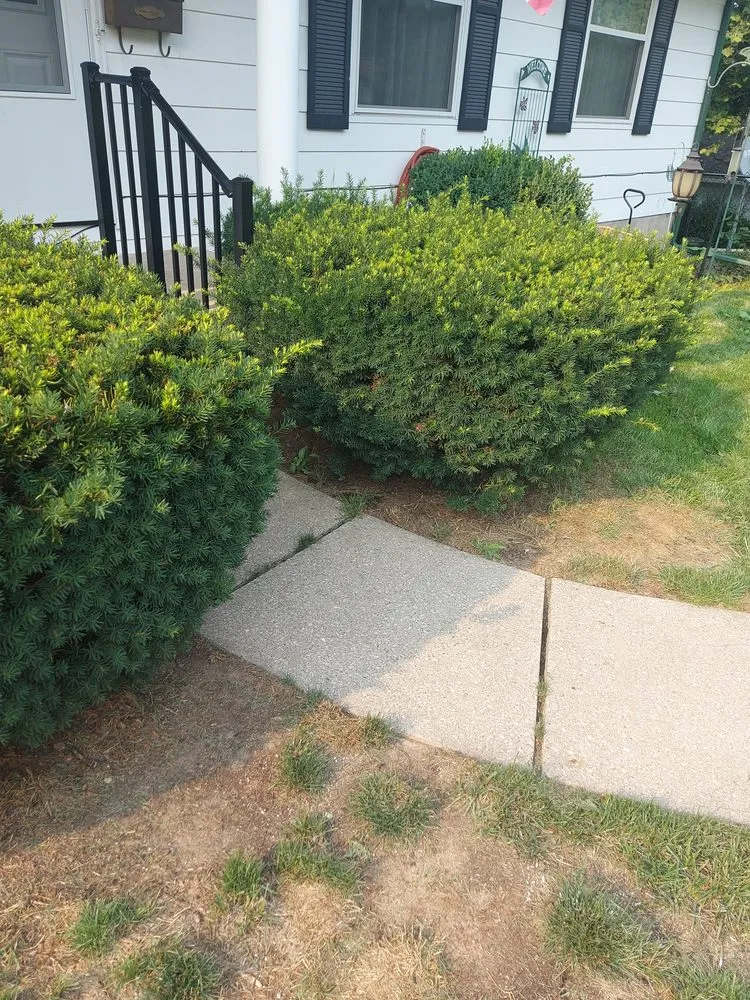 Professional outdoor landscaping in Deltona, FL by Nicely Landscaping