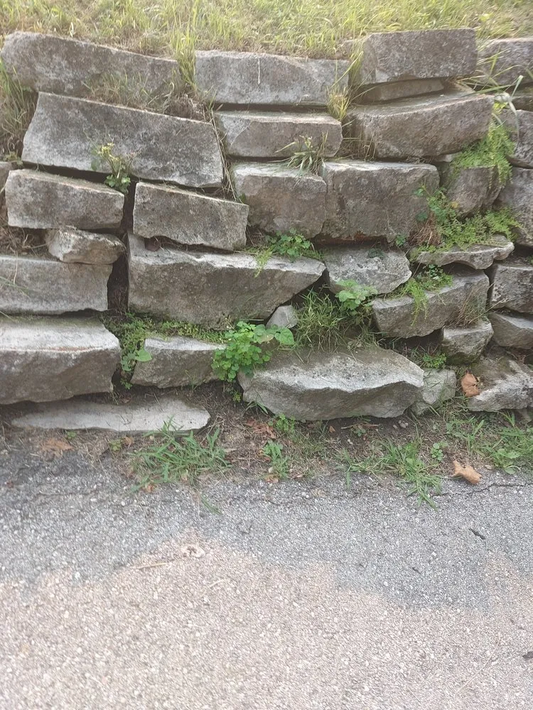 Reliable lawn care service with custom design in Deltona, FL by Nicely Landscaping