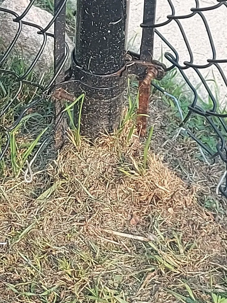 Trusted residential landscaping for beautiful yards in Deltona, FL by Nicely Landscaping