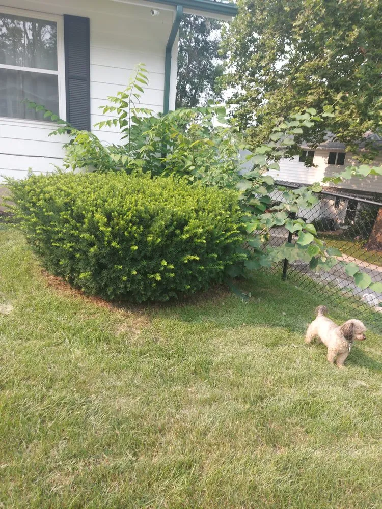 Top-rated lawn mowing service with custom design across Deltona, FL - Nicely Landscaping