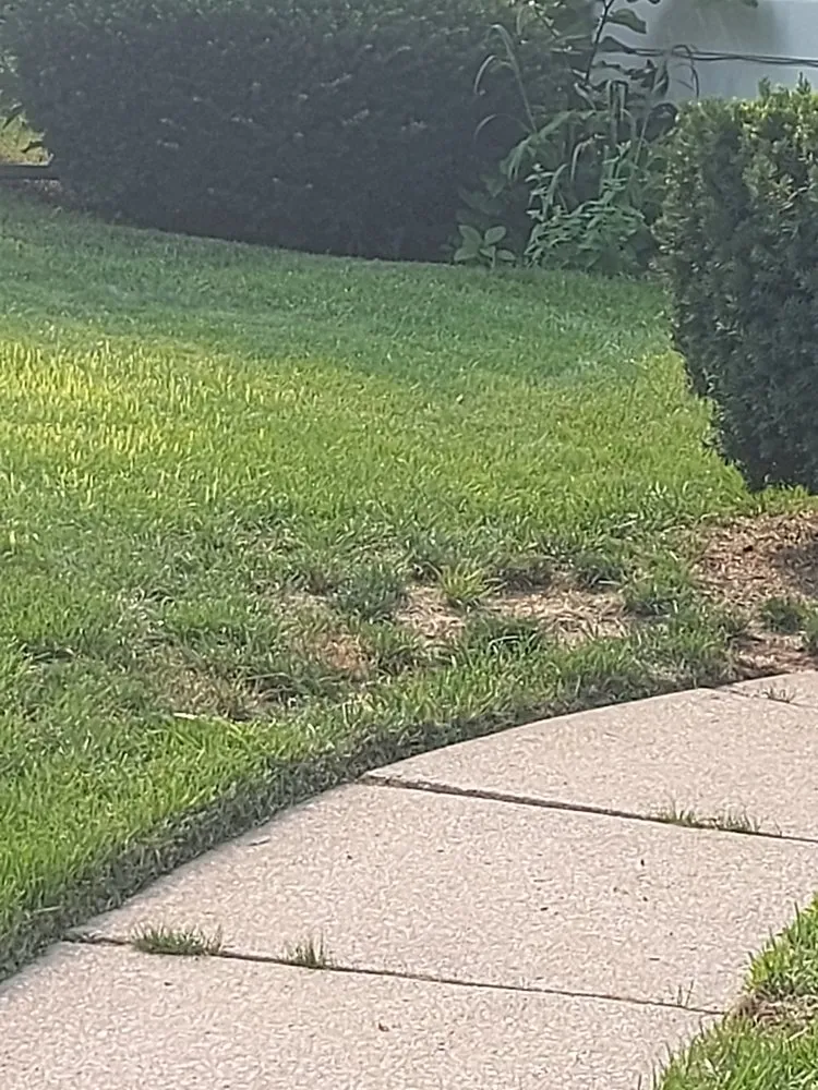 Affordable landscape installation for beautiful yards in Deltona, FL by Nicely Landscaping