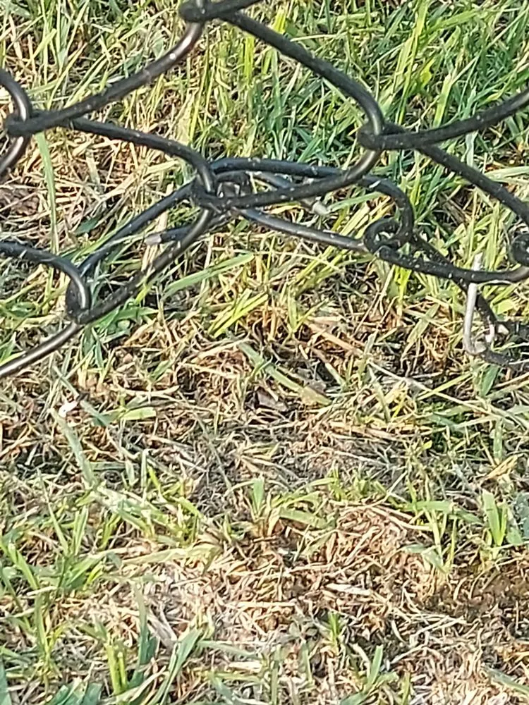 Affordable outdoor landscaping for outdoor upgrades in Deltona, FL by Nicely Landscaping