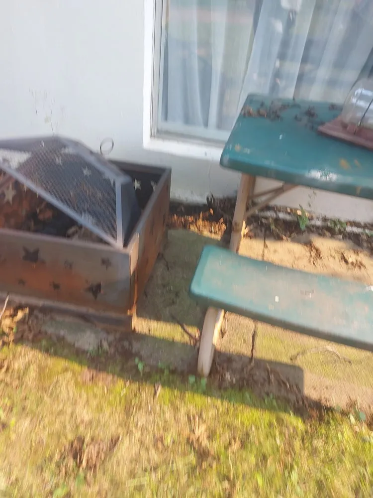 Local lawn care service in Deltona, FL - Nicely Landscaping