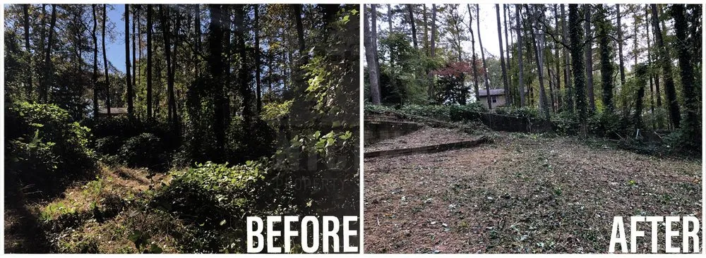 Reliable outdoor landscaping in Forsyth, GA by Nicene Property Solutions