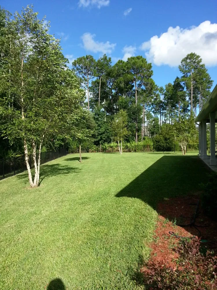 Trusted yard cleanup service for outdoor upgrades in Jacksonville, FL by Nice's Landscaping