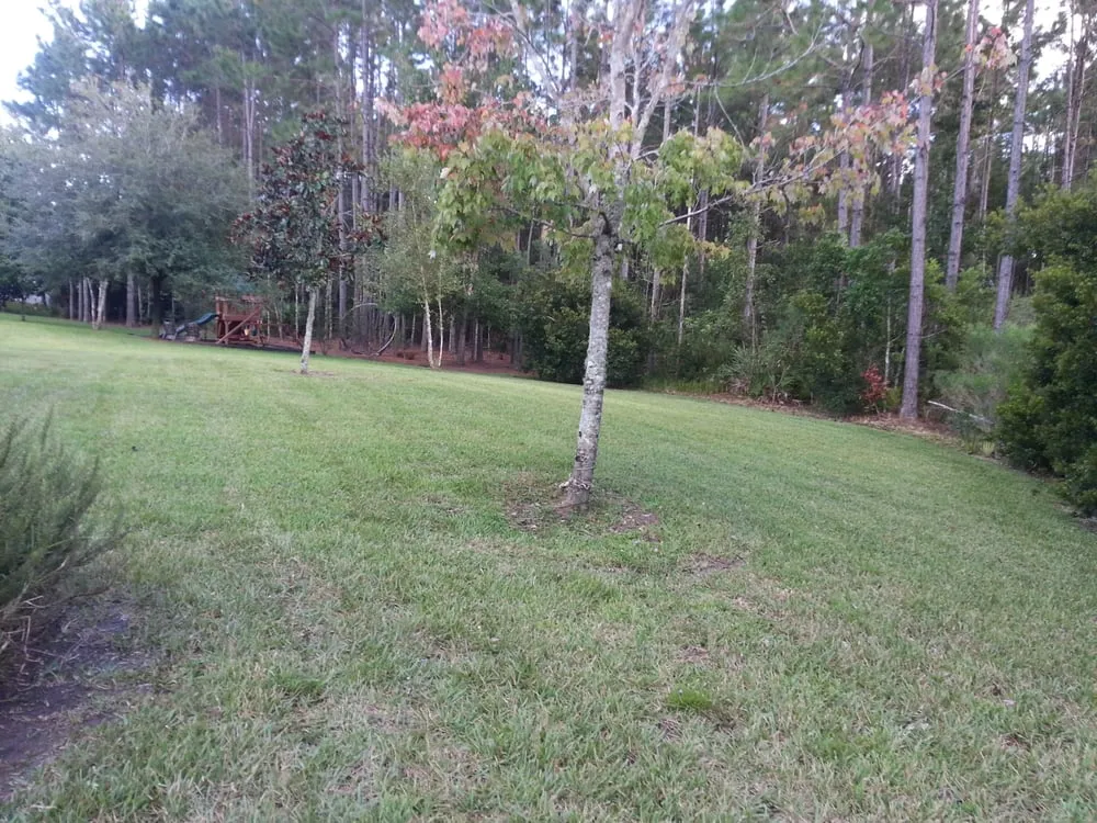 Custom garden landscaping experts serving Jacksonville, FL - Nice's Landscaping