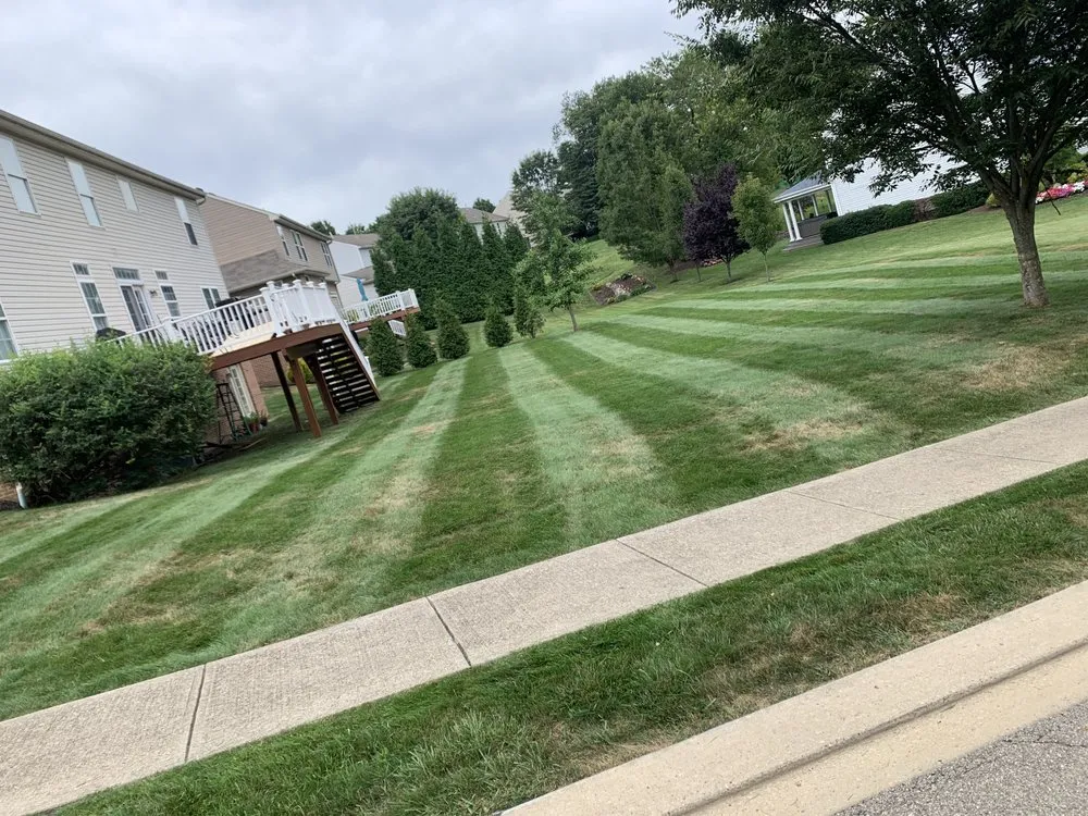 Affordable yard maintenance in Pittsburgh, PA - Nicholas landscaping