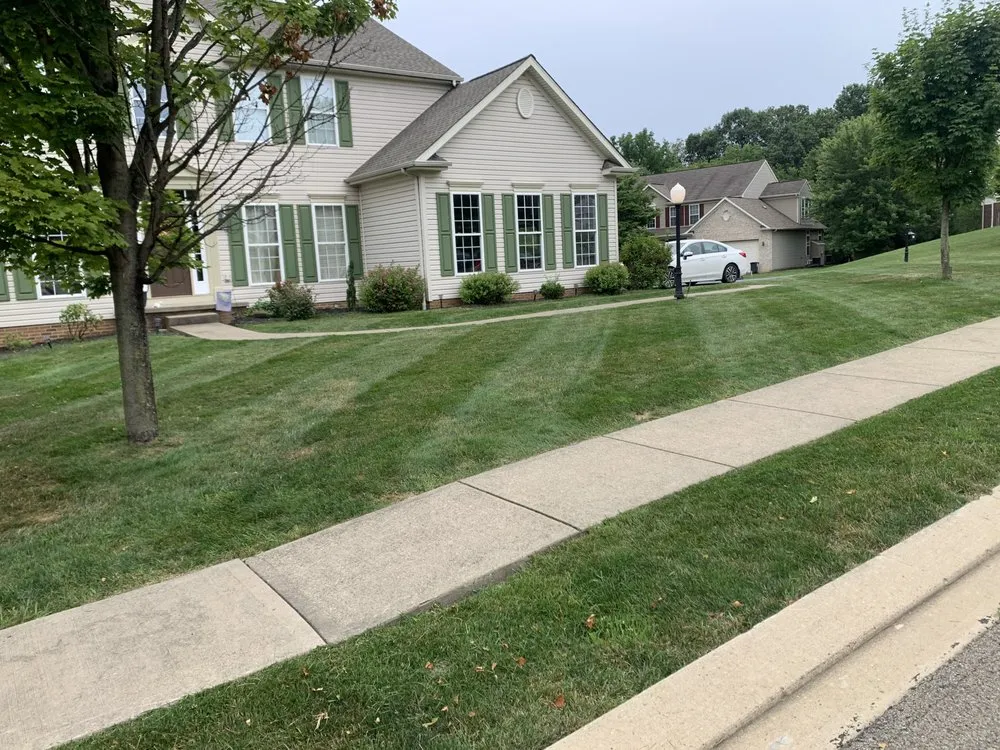 Trusted yard cleanup service for residential properties across Pittsburgh, PA - Nicholas landscaping