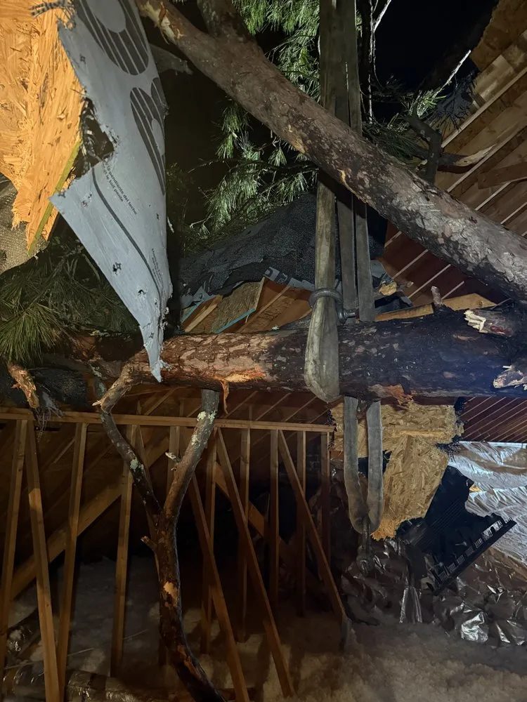 Local yard cleanup service in Martinez, GA by Nicholas Navarre Services