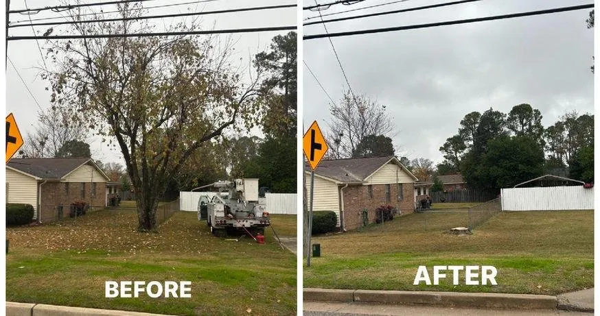 Local yard cleanup service for homes across Martinez, GA - Nicholas Navarre Services