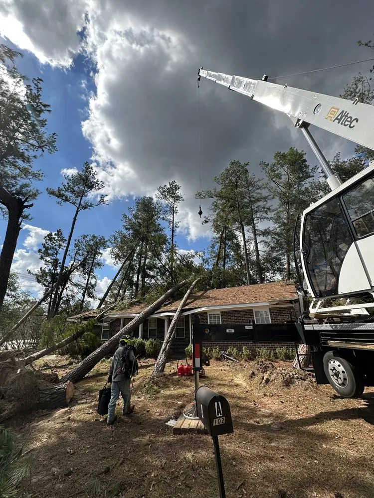 Custom yard maintenance experts serving Martinez, GA - Nicholas Navarre Services