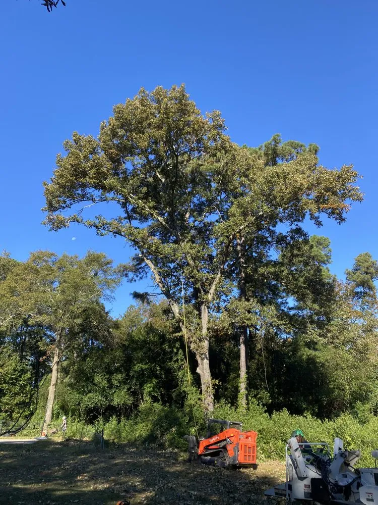 Top-rated residential landscaping in Martinez, GA by Nicholas Navarre Services