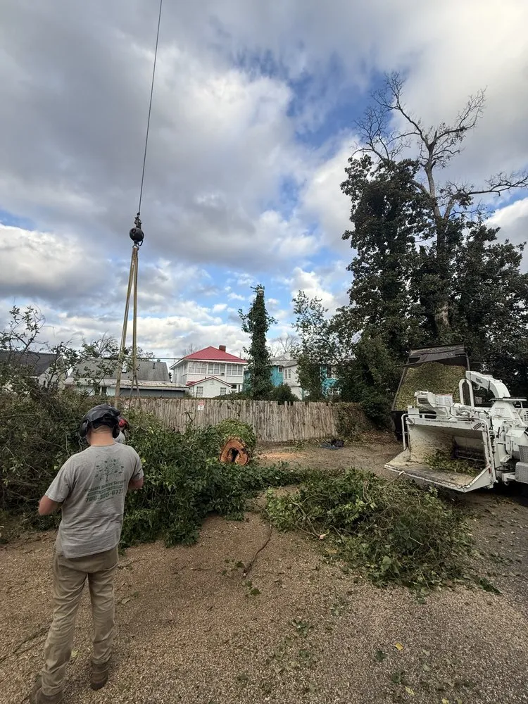 Trusted landscape installation experts serving Martinez, GA - Nicholas Navarre Services