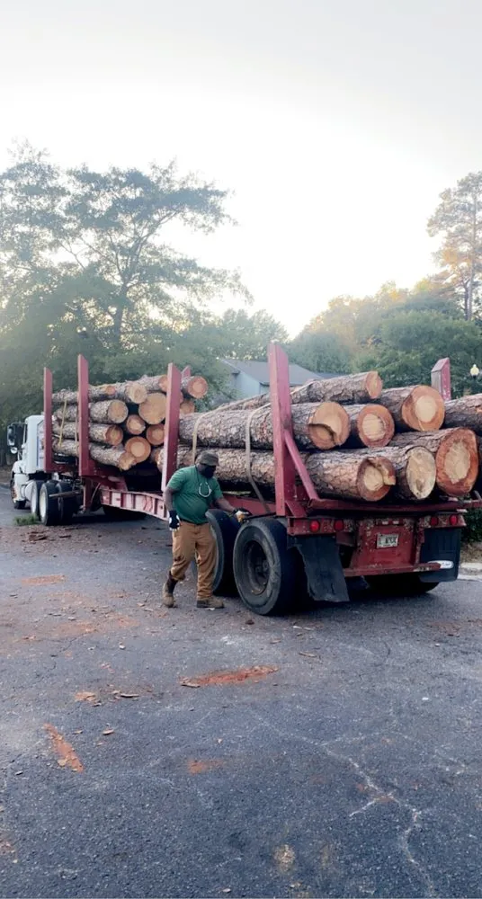 Expert landscape design near you across Martinez, GA - Nicholas Navarre Services