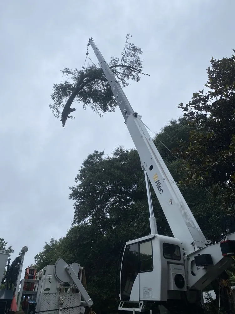 Reliable landscaping services for outdoor upgrades in Martinez, GA by Nicholas Navarre Services