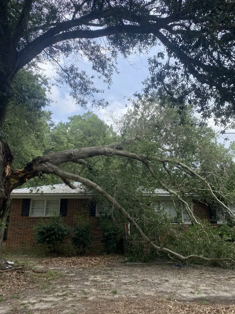 Trusted yard maintenance for beautiful yards in Martinez, GA by Nicholas Navarre Services