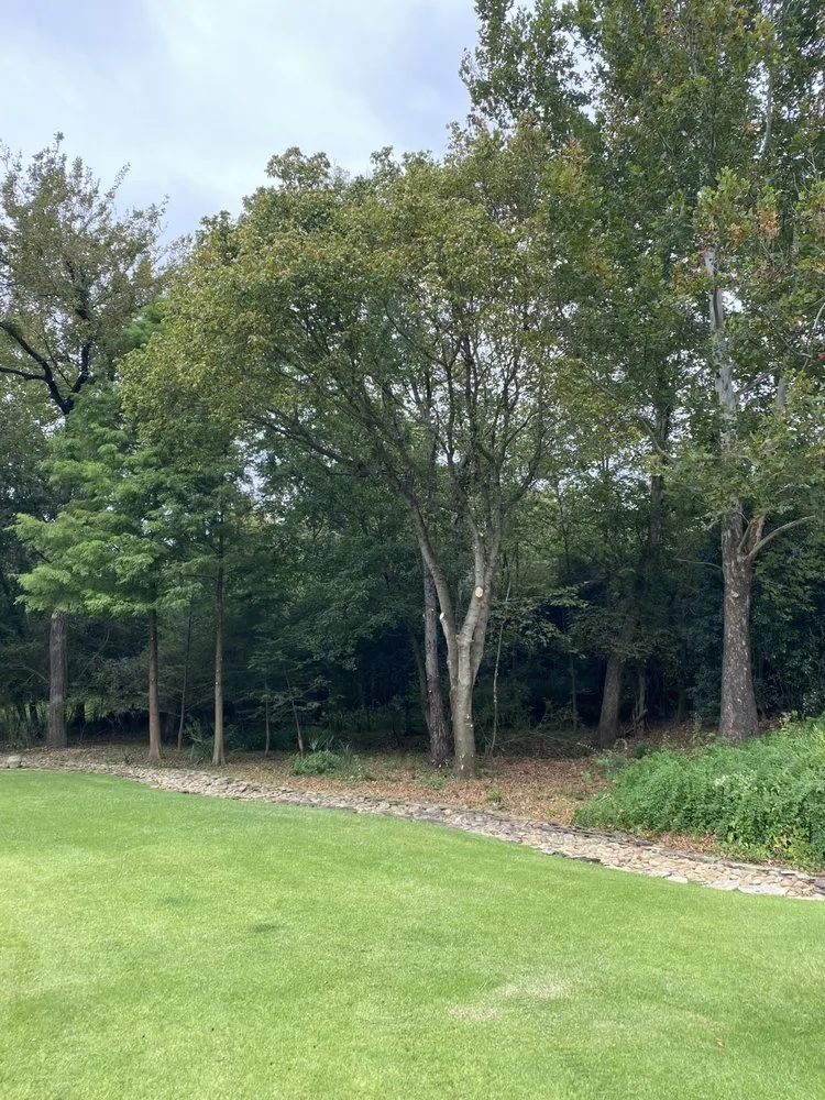 Top-rated landscaping services for year-round maintenance in Martinez, GA by Nicholas Navarre Services