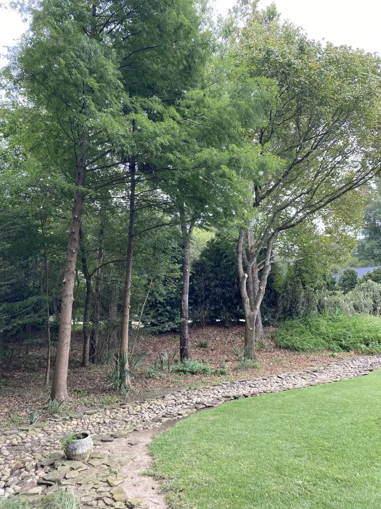 Local landscaping services in Martinez, GA by Nicholas Navarre Services