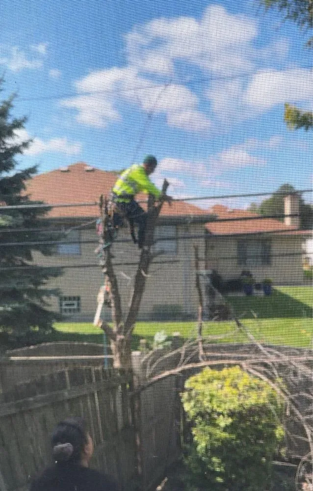 Custom garden landscaping near you in Island lake, IL by Nicholas Tree Care