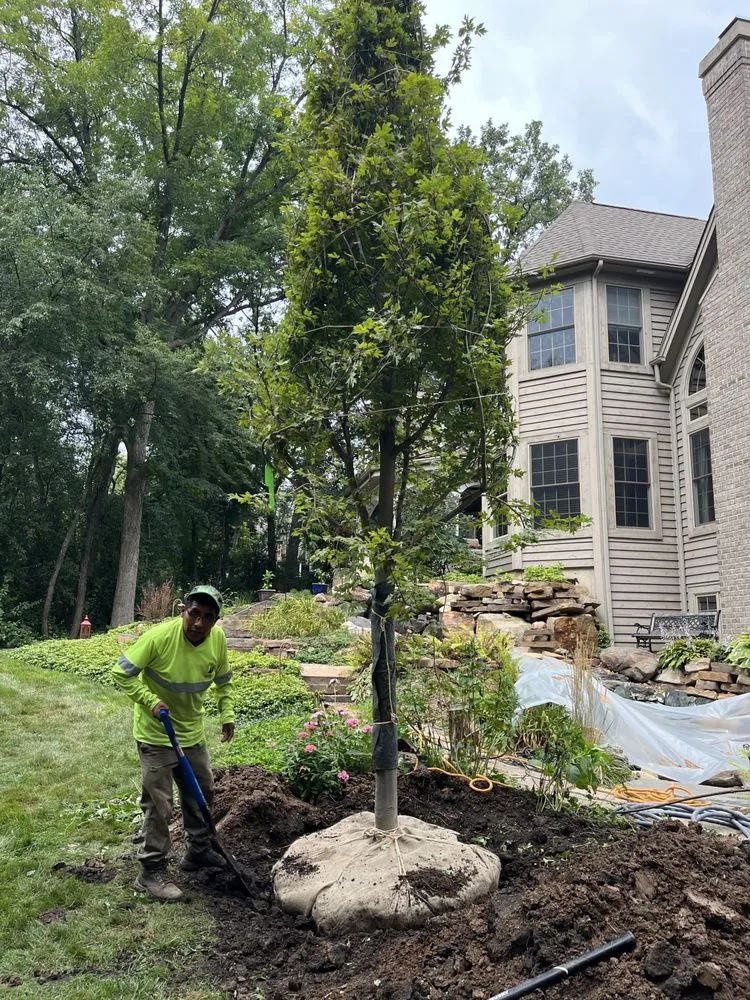 Local landscape design experts serving Island lake, IL - Nicholas Tree Care