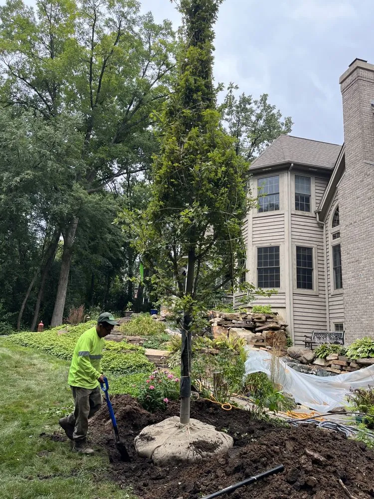Expert landscape design in Island lake, IL by Nicholas Tree Care