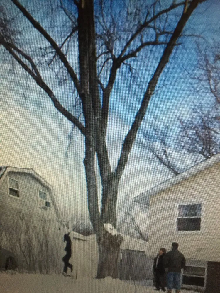 Reliable residential landscaping in Island lake, IL by Nicholas Tree Care