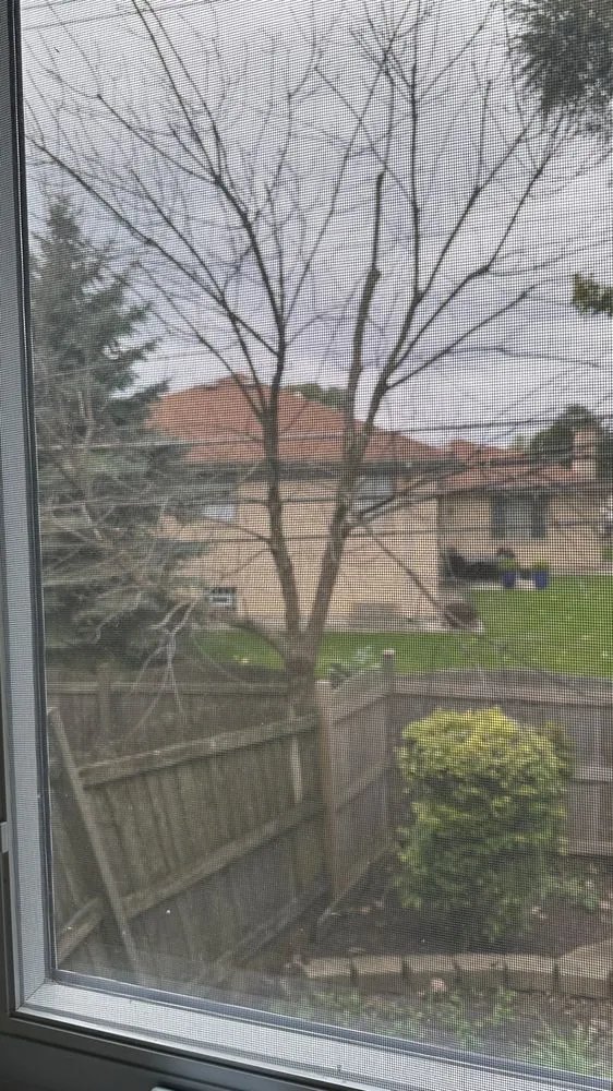 Trusted lawn care service in Island lake, IL by Nicholas Tree Care