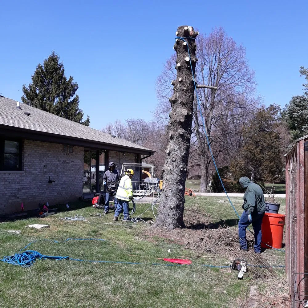 Professional outdoor landscaping in Island lake, IL - Nicholas Tree Care