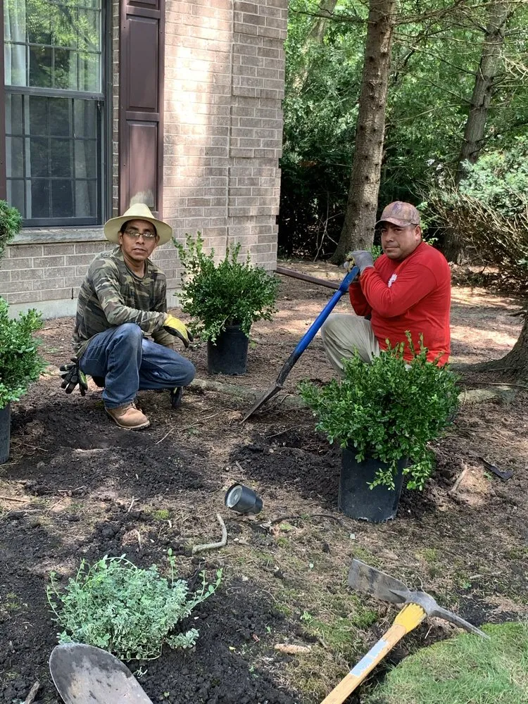 Expert residential landscaping in Island lake, IL - Nicholas Tree Care