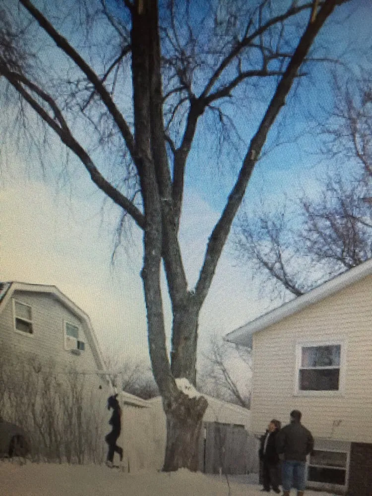 Affordable residential landscaping for year-round maintenance in Island lake, IL by Nicholas Tree Care