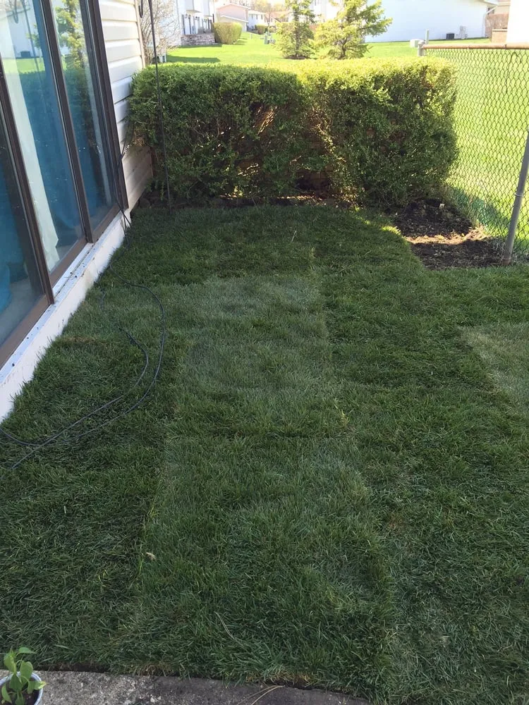 Trusted residential landscaping near you in Island lake, IL by Nicholas Tree Care