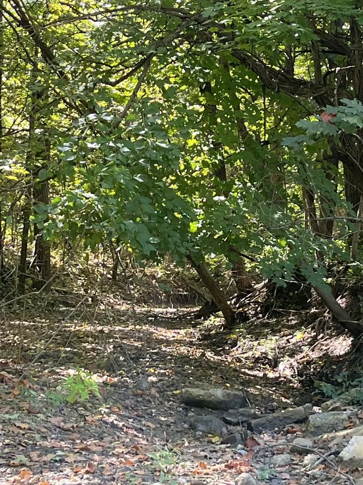 Top-rated residential landscaping experts serving Island lake, IL - Nicholas Tree Care