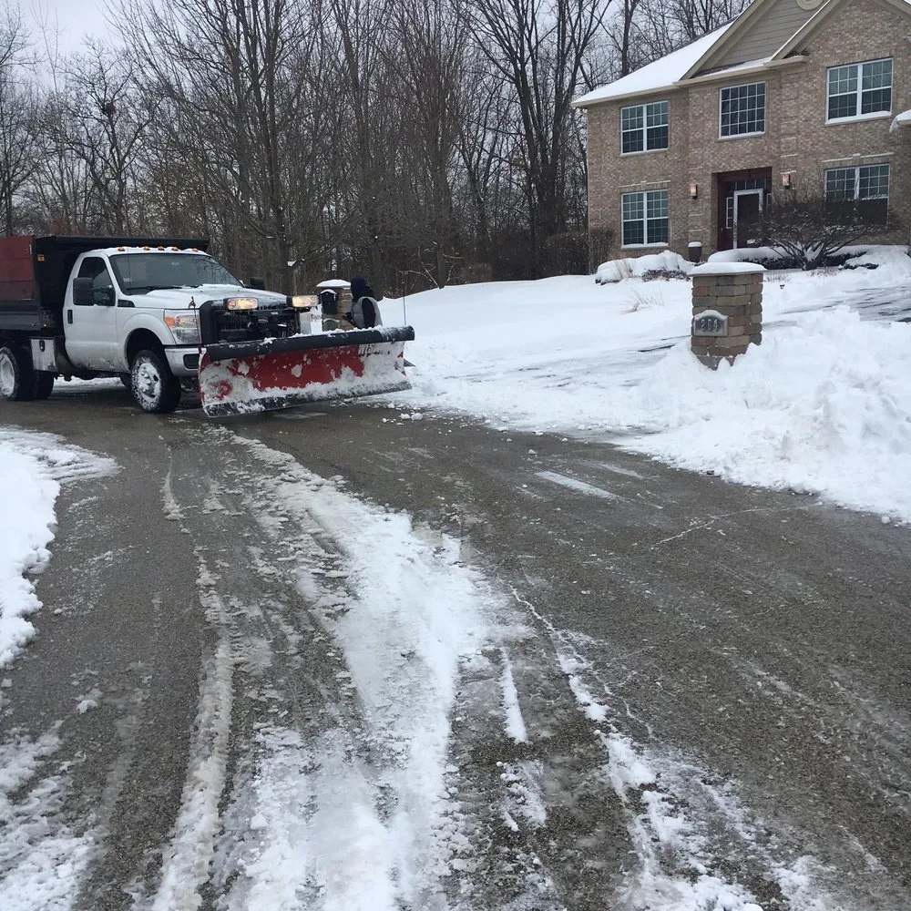 Top-rated yard maintenance in Island lake, IL - Nicholas Tree Care