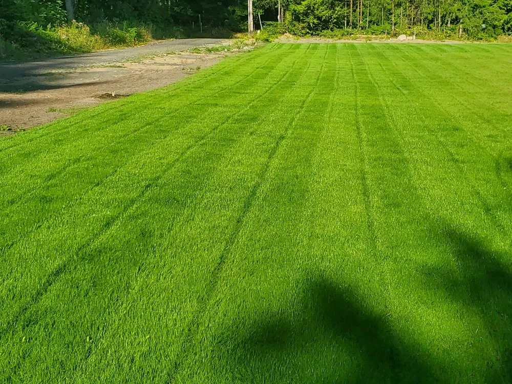 Affordable landscape design in Buckley, WA by Nichols Hydroseeding