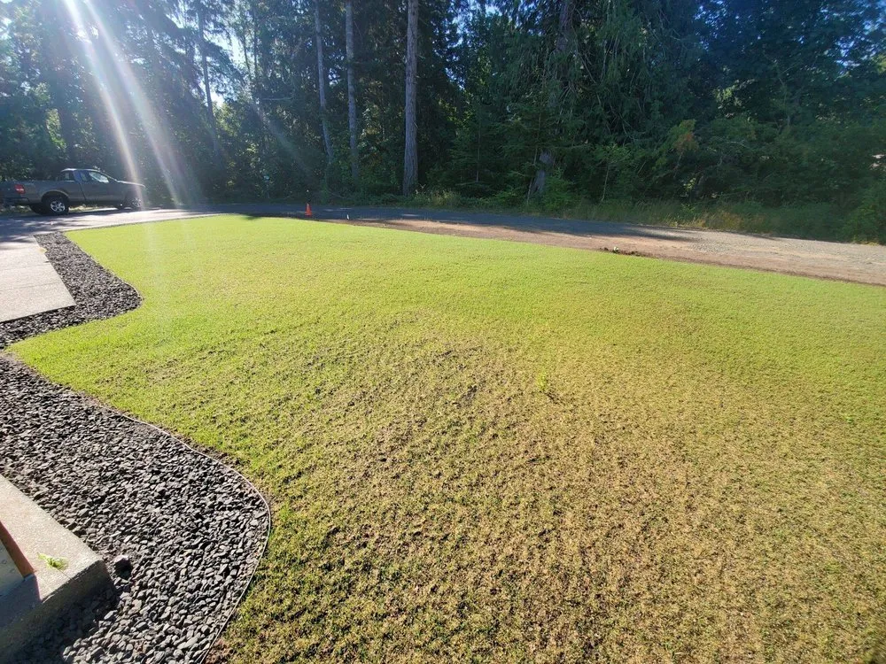 Top-rated lawn mowing service experts serving Buckley, WA - Nichols Hydroseeding