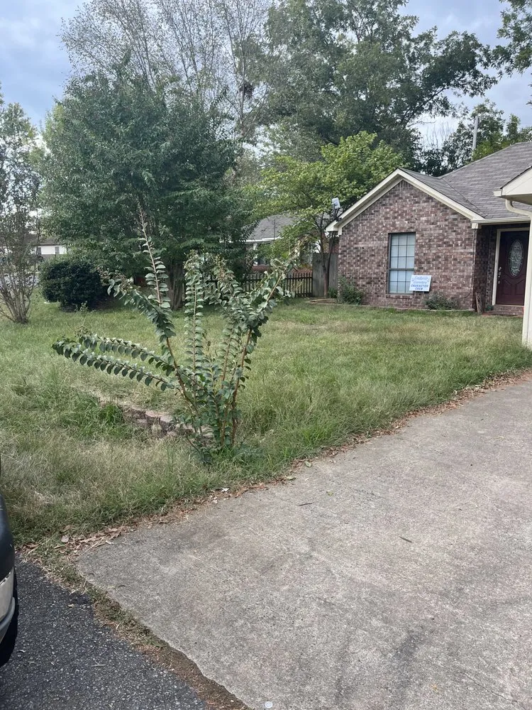 Affordable lawn care service experts serving Greenbrier, AR - Nichols Landscaping and Debris Removal