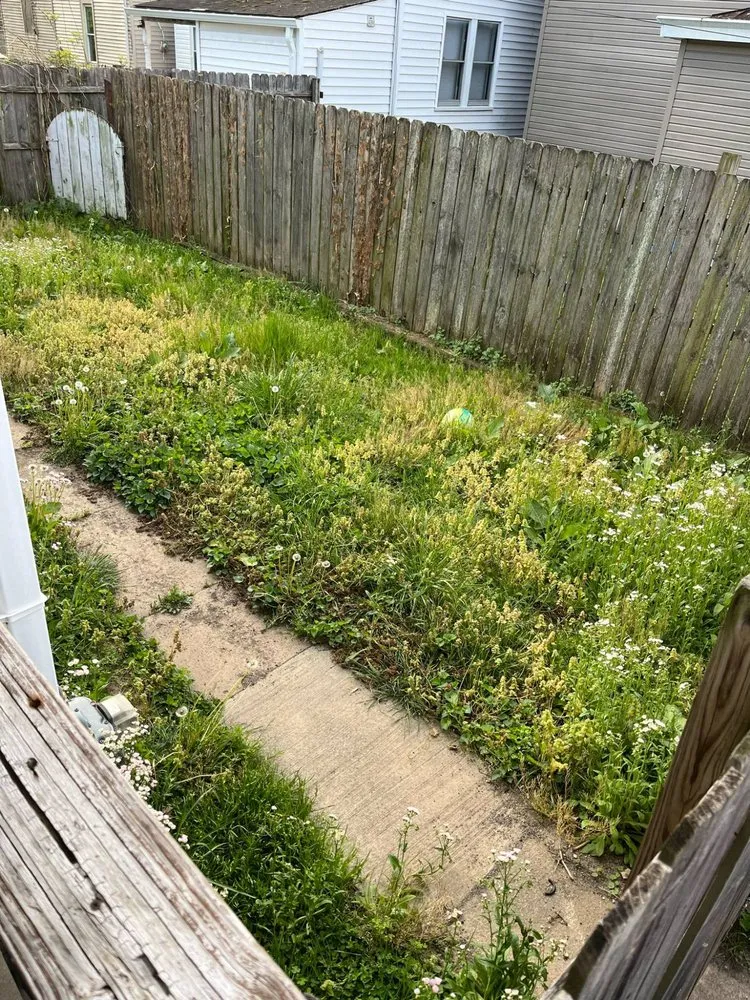 Affordable landscape design near you across Portsmouth, OH - Nichols Lawn Care