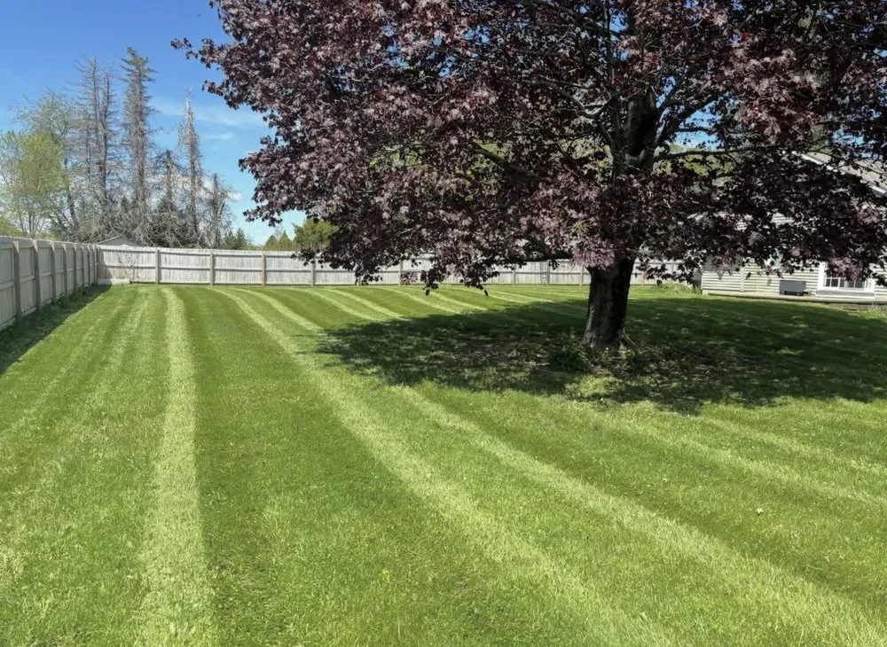 Affordable yard maintenance experts serving Winsted, CT - Nichols Property Care