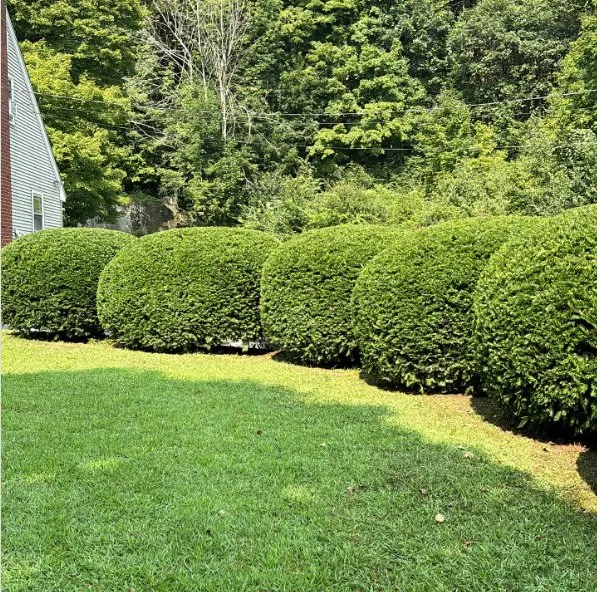 Top-rated residential landscaping for outdoor upgrades in Winsted, CT by Nichols Property Care
