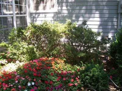 Custom landscaping services for homes in Fayetteville, AR by Nichols Reliable Lawn Care and More