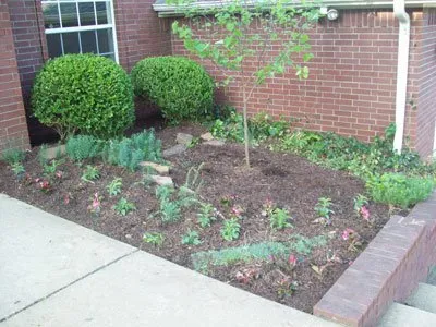 Local lawn care service experts serving Fayetteville, AR - Nichols Reliable Lawn Care and More