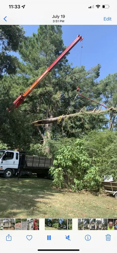 Trusted residential landscaping for beautiful yards in Hartman, AR by Nichols Tree and Lawn Care Services