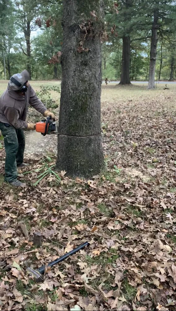 Reliable landscape installation experts serving Hartman, AR - Nichols Tree and Lawn Care Services