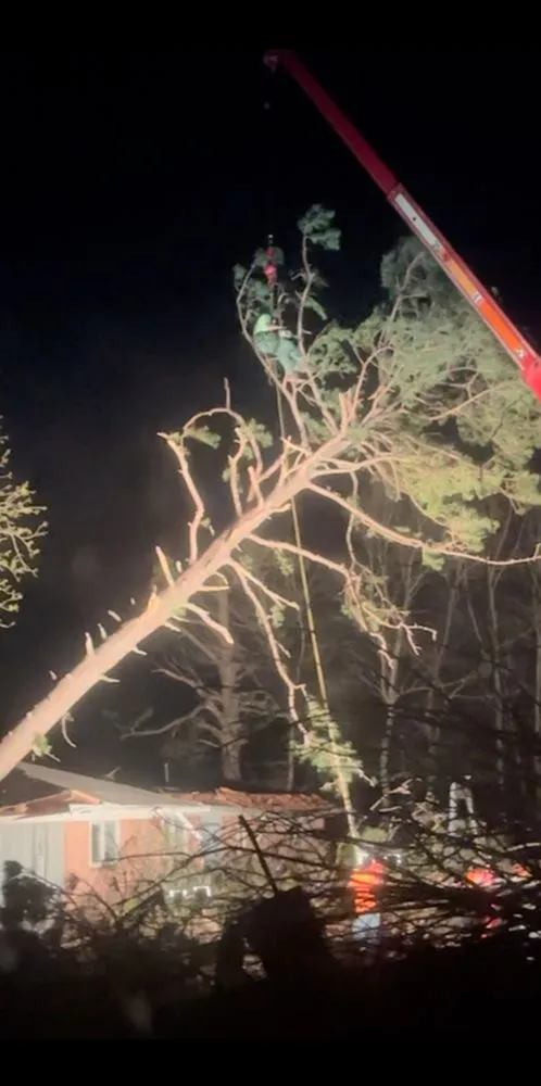 Custom outdoor landscaping experts serving Hartman, AR - Nichols Tree and Lawn Care Services