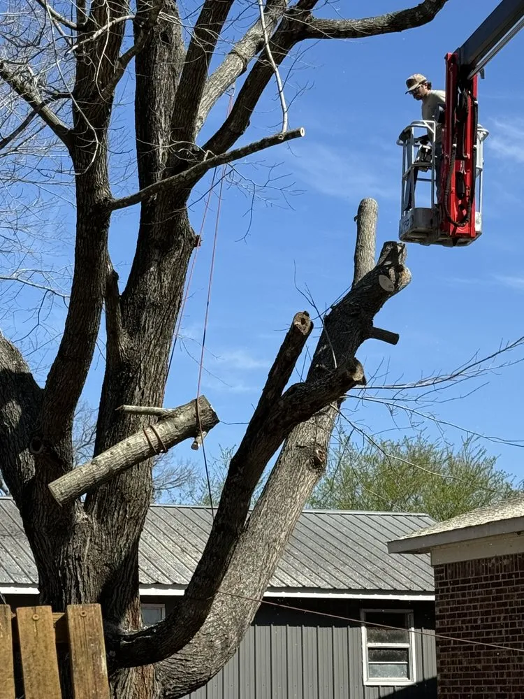 Custom landscape installation in Hartman, AR by Nichols Tree and Lawn Care Services