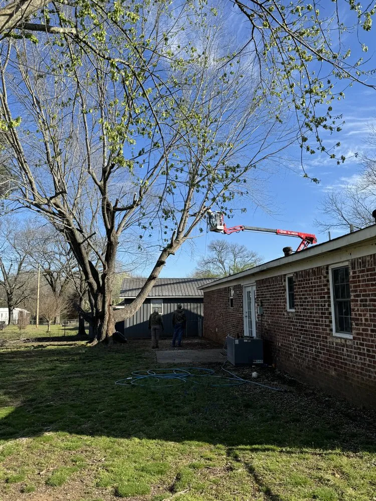 Local lawn care service near you in Hartman, AR by Nichols Tree and Lawn Care Services