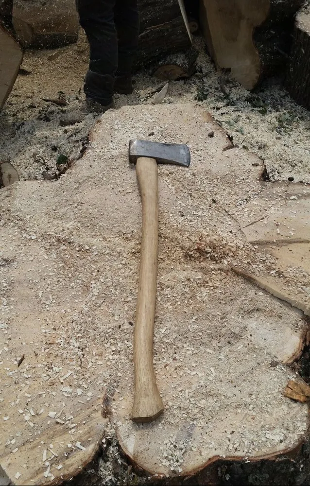 Professional lawn care service for homes across Hartman, AR - Nichols Tree and Lawn Care Services