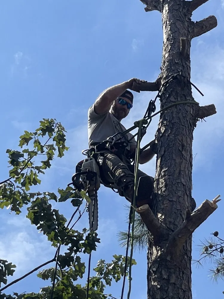 Trusted landscaping services in Hartman, AR - Nichols Tree and Lawn Care Services