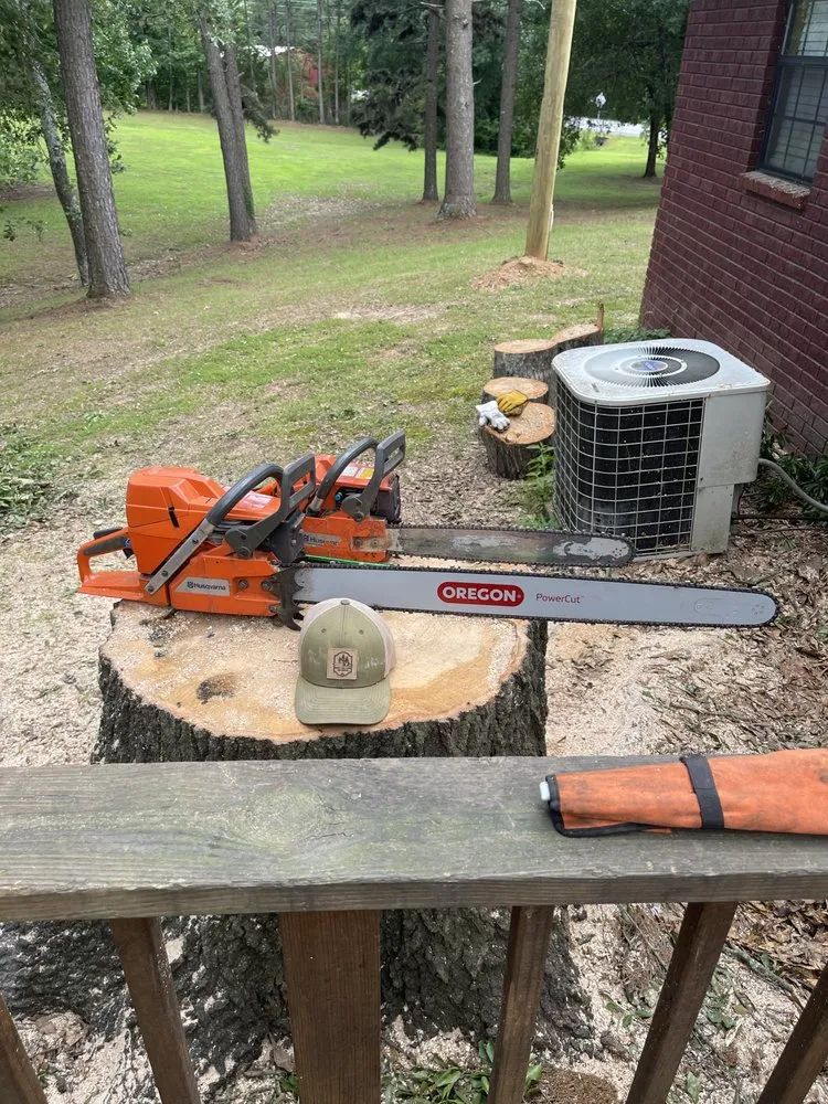Reliable yard maintenance for year-round maintenance in Hartman, AR by Nichols Tree and Lawn Care Services