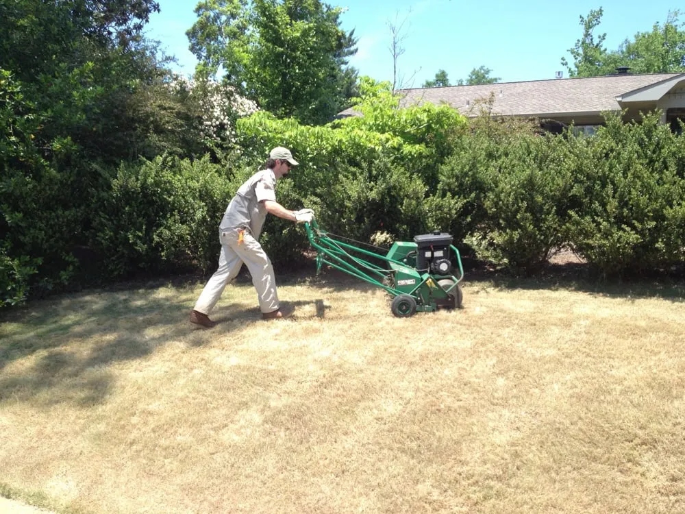 Custom residential landscaping in Tuscaloosa, AL - Nicholson Landscape